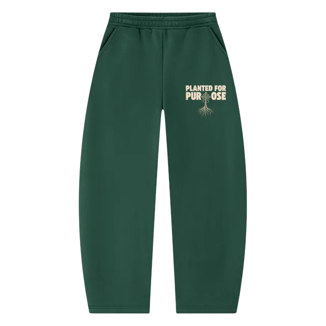 Planted for Purpose sweatpants in dark green